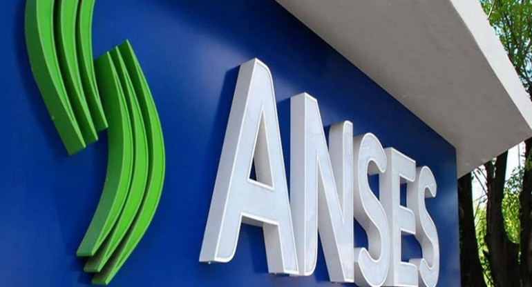 ANSES, economía argentina, IFE