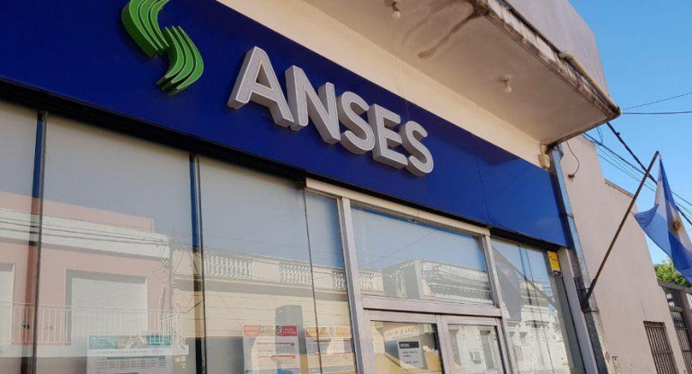 Anses, ingreso IFE