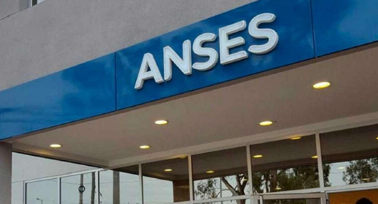 ANSES. Foto: NA.