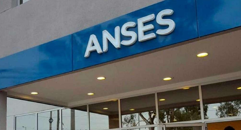 ANSES. Foto: NA.