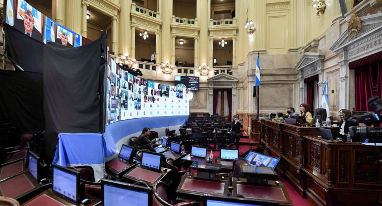 Sesión Senado, Cristina Kickner, Agencia NA