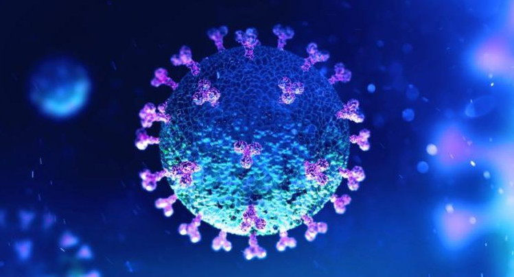 Coronavirus en el mundo, pandemia