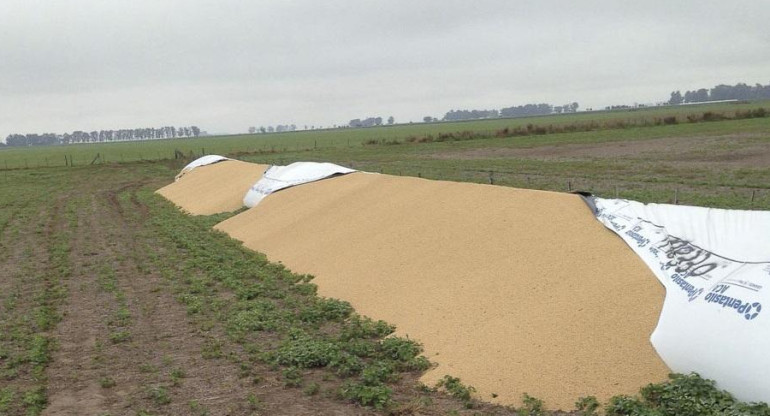 Rotura de silobolsas, campo, economía argentina, Agencia NA