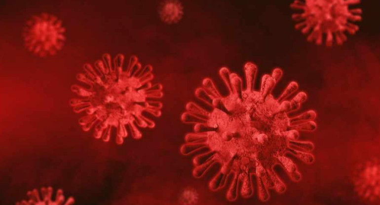 Coronavirus en el mundo, pandemia