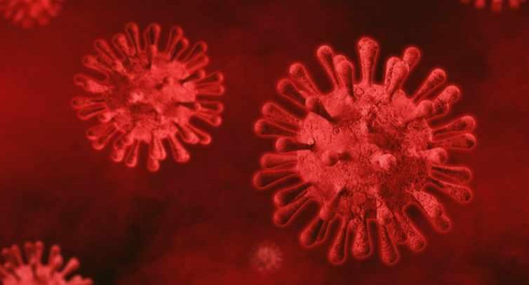 Coronavirus en el mundo, pandemia