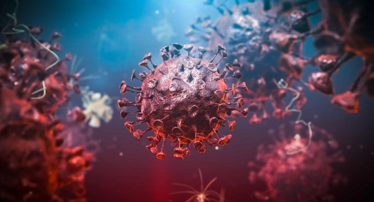 Coronavirus en el mundo, pandemia