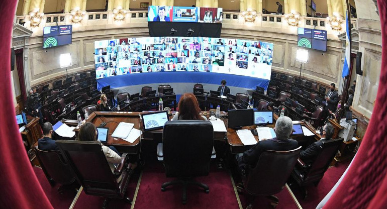 Debate en Senado de La Nación, NA