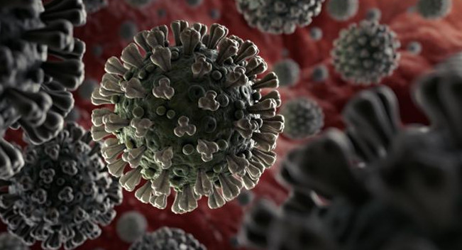 Coronavirus en el mundo, pandemia