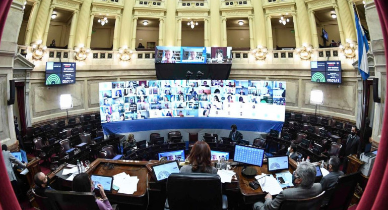 Senado, sesión virtual, Agencia NA