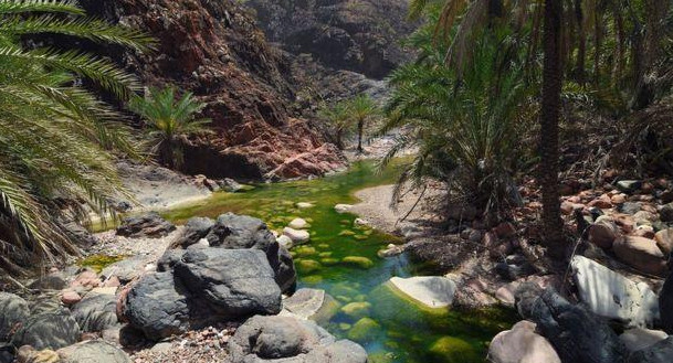 Islas de Socotra, Foto Getty Images