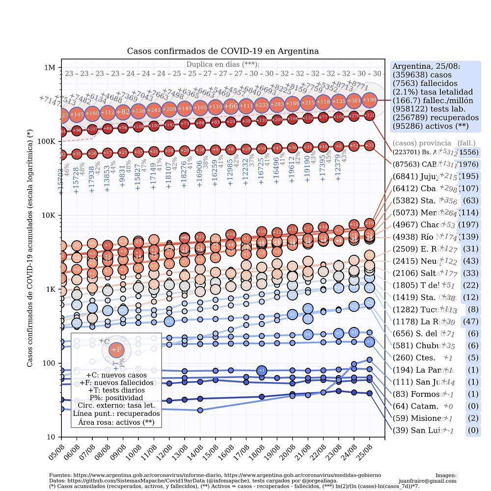 Curva de casos en Argentina actualizada con los reportes matutinos y vespertinos, @TotinFraire, 25-8-2020	