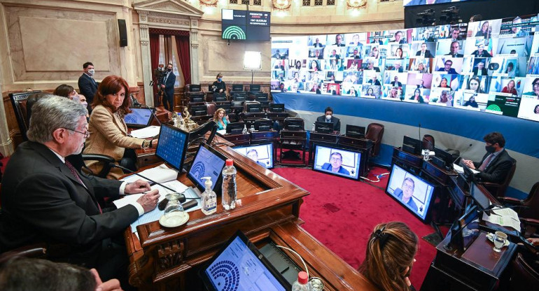 Senado de la Nación, Cámara de Senadores, Cristina Kirchner, Congreso, NA