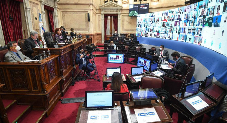 Senado, sesión virtual, teleconferencia, NA