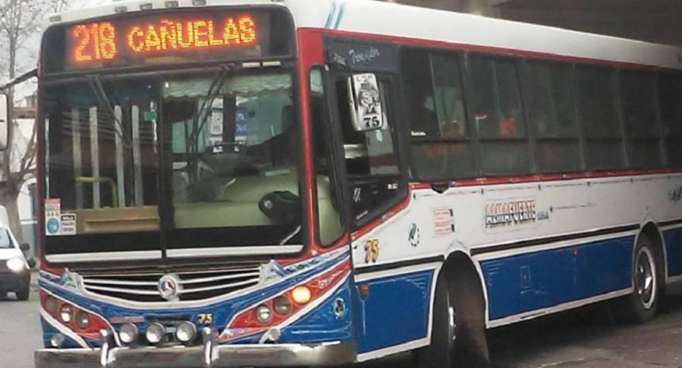 Colectivo Línea 218