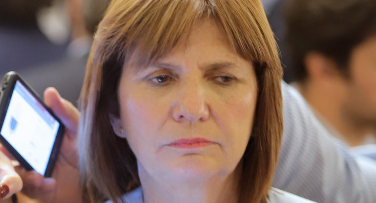 Patricia Bullrich, PRO, NA