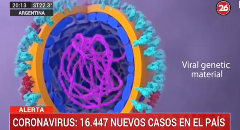 Coronavirus en Argentina, 7-10-2020, CANAL 26