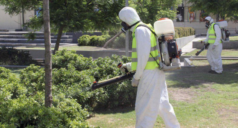 Tareas de fumigación contra el Dengue, NA.