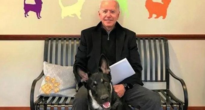 Joe Biden junto a su perro Major, Foto Archivo