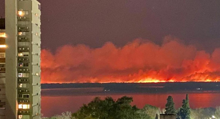 Incendios en el Delta del Paraná