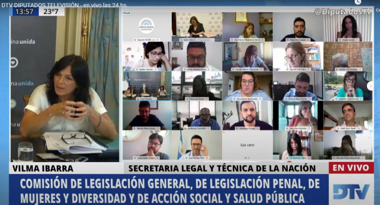 Debate sobre el aborto, sesión virtual en Diputados, NA