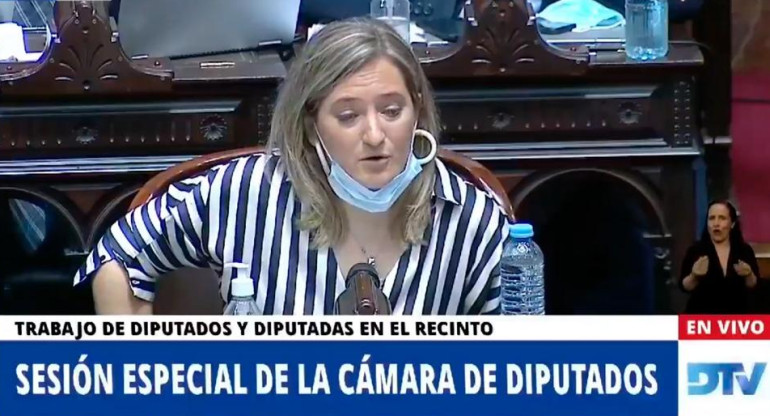 Diputada de la Coalición Cívica Lucila Lehman, debate por el aborto