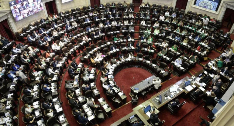 Cámara de Diputados, aborto legal y proyecto de los 1.000 días, NA