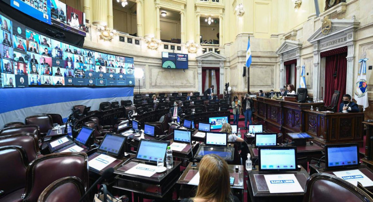 Cámara de Senadores, AGENCIA NA