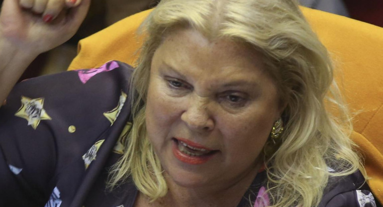 Elisa Carrió, Foto NA