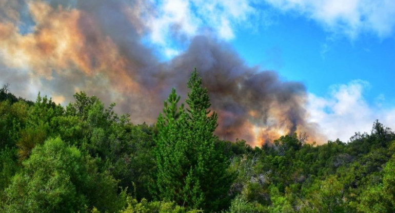 Incendio forestal en el Bolsón