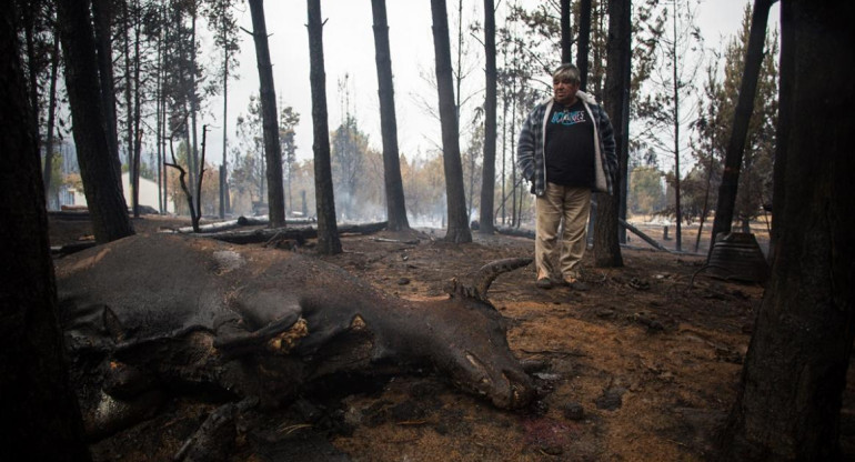 Incendios en la Patagonia, Chubut, NA.