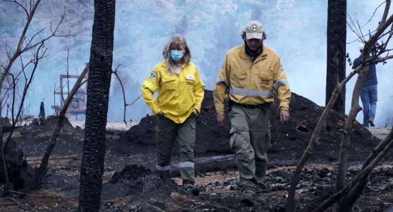 Incendios en la Patagonia, NA