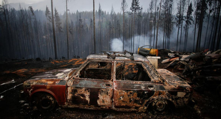 Incendios en la Patagonia, El Bolsón, Foto NA - Greenpeace