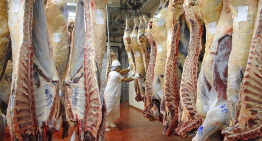 Exportación de carne, economía argentina, NA