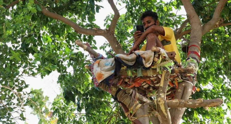 Shiva vivió en un árbol para no enfermar a su familia de coronavirus. Foto: The Print