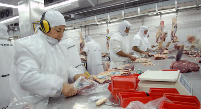 Carne, economía argentina, NA