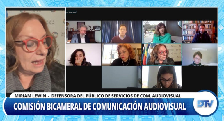 Miriam Lewin presentó un informe de gestión en el Congreso