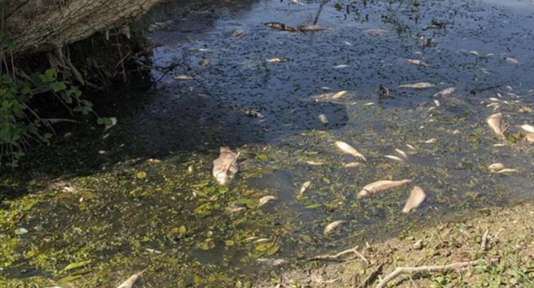 Río contaminado por Nestlé. Foto: Instagram @savethereef.