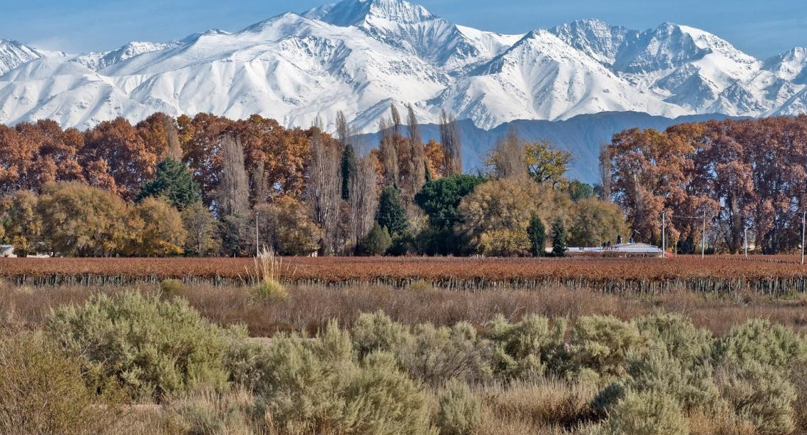 Mendoza