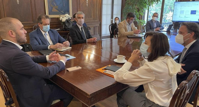 Martín Guzmán durante la reunión que mantuvo con representantes del FMI en Washington. Foto NA