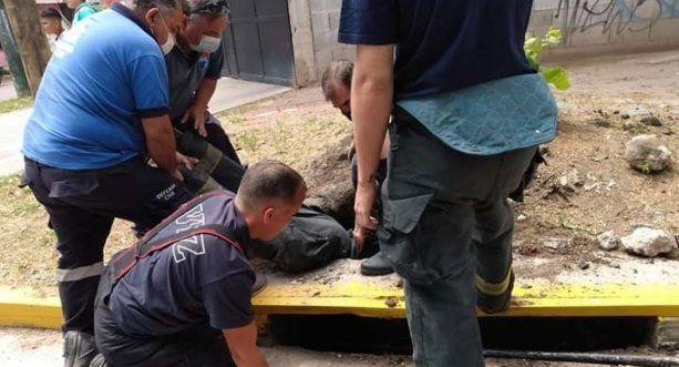 Rescate de un perro atrapado en una alcantarilla en Banfield