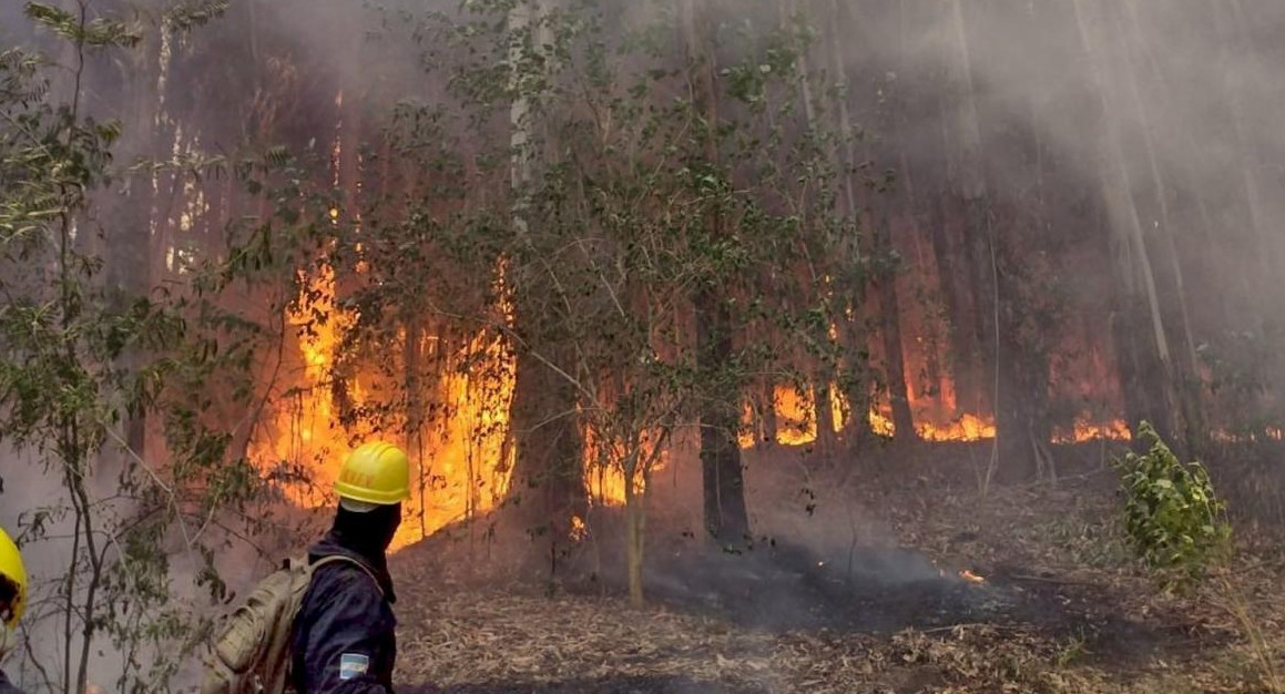 Incendio en el parque Pereyra Iraola