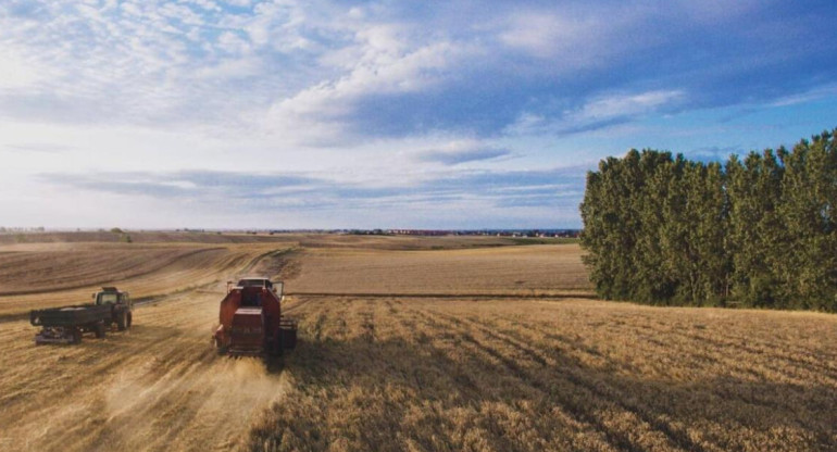 Cosecha, campo