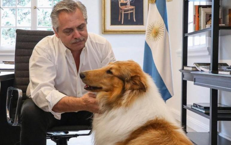 Dylan, el perro de Alberto