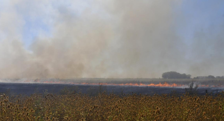 Incendios en el país