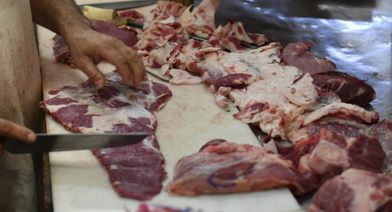 Cortes de carne, economía argentina, foto NA