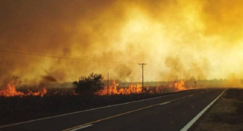 Corrientes declaró el estado de Emergencia Agropecuaria	