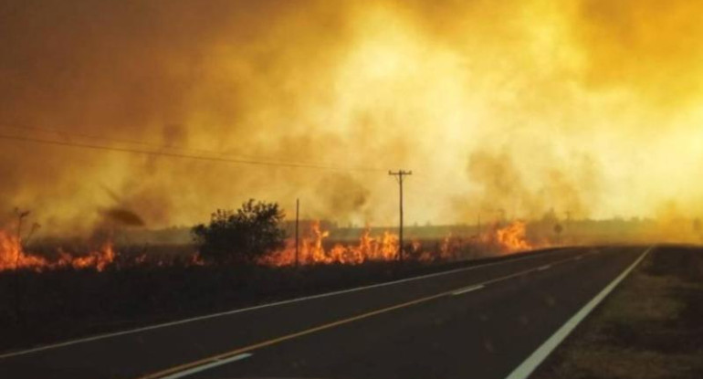 Incendios en Corrientes, foto NA