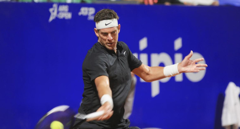 Juan Martín Del Potro, Argentina Open, foto NA