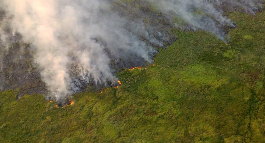 Incendios en Corrientes, foto NA