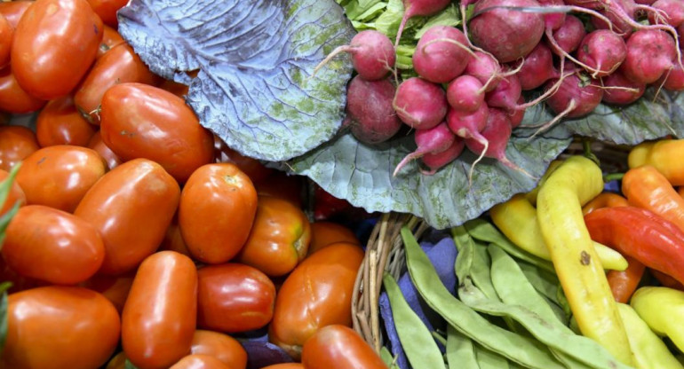 Verduras, agro alimentos, NA